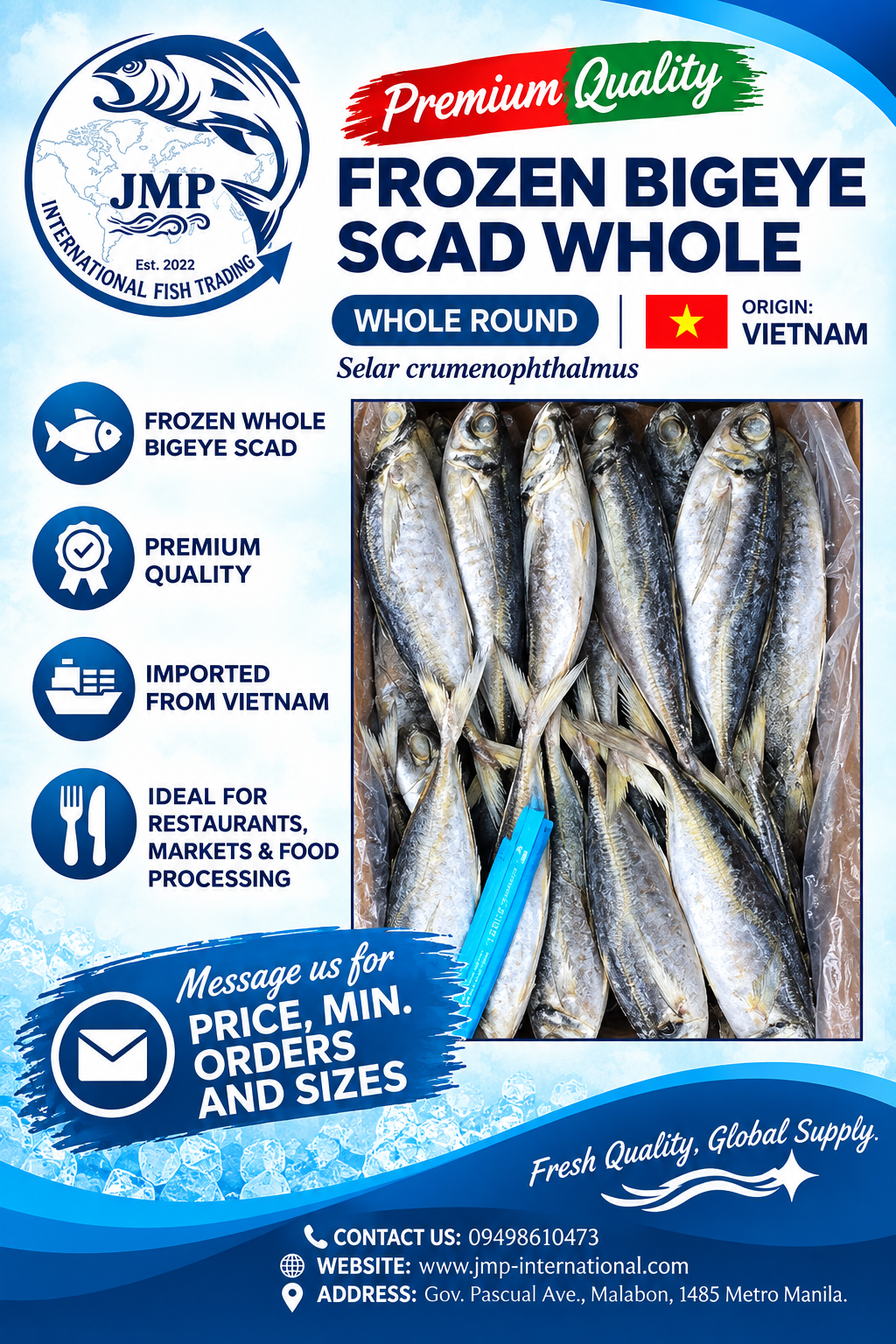 Frozen Bigeye Scad Whole